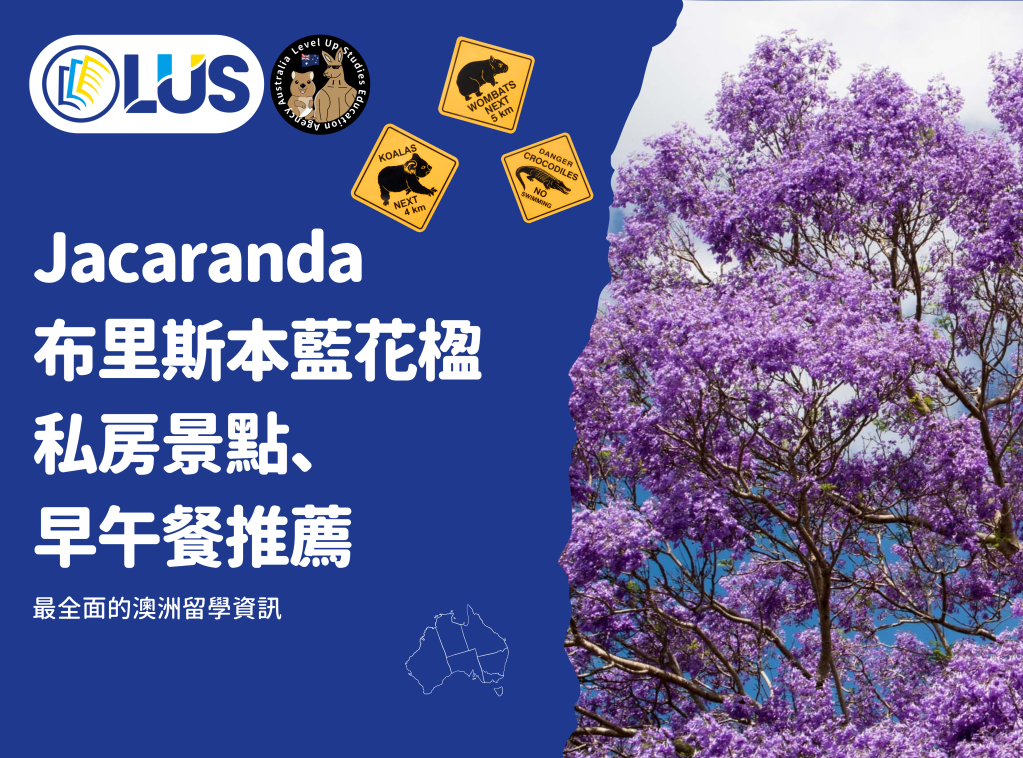 Jacaranda布里斯本藍花楹私房景點、早午餐推薦