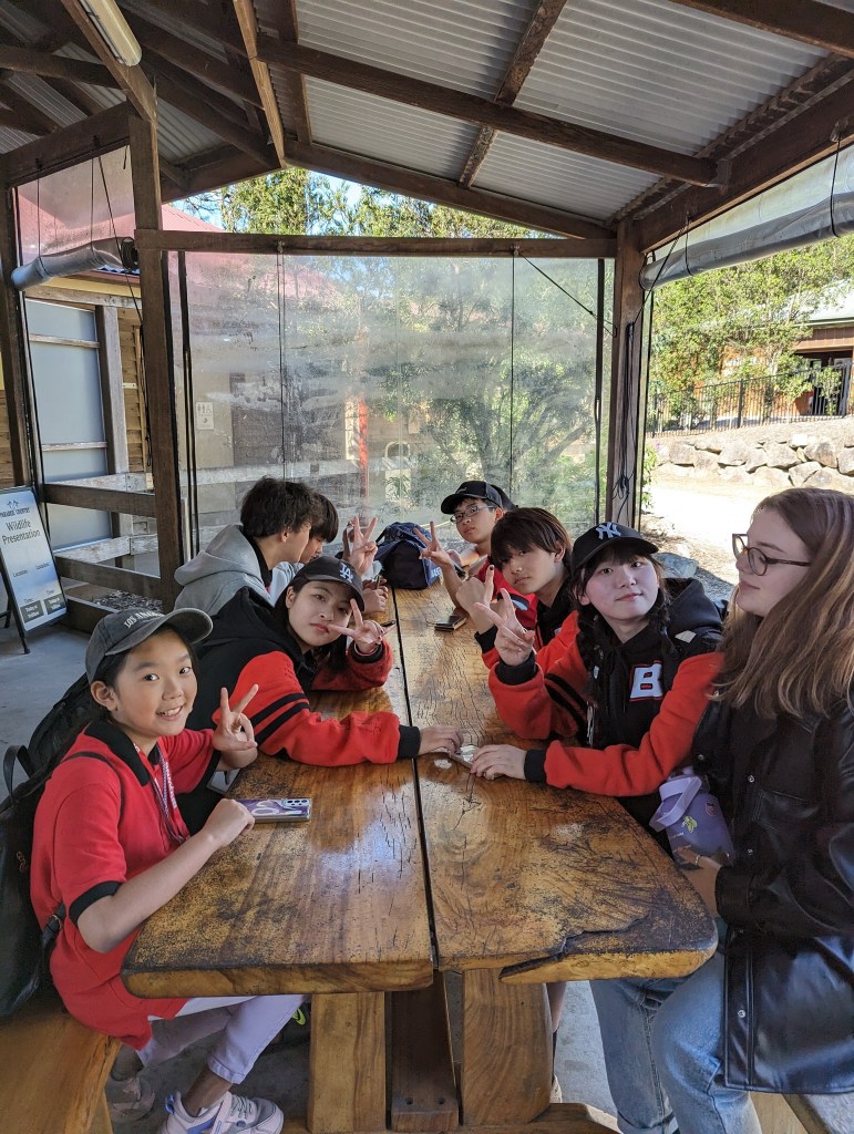 布朗斯英文語言學院 BROWNS English Language School 冬夏令營