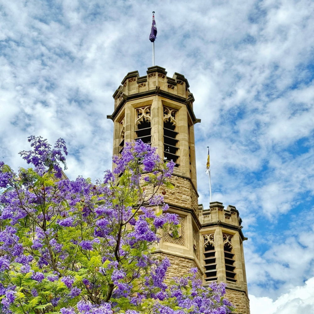 澳洲留學 澳洲代辦 布里斯本留學