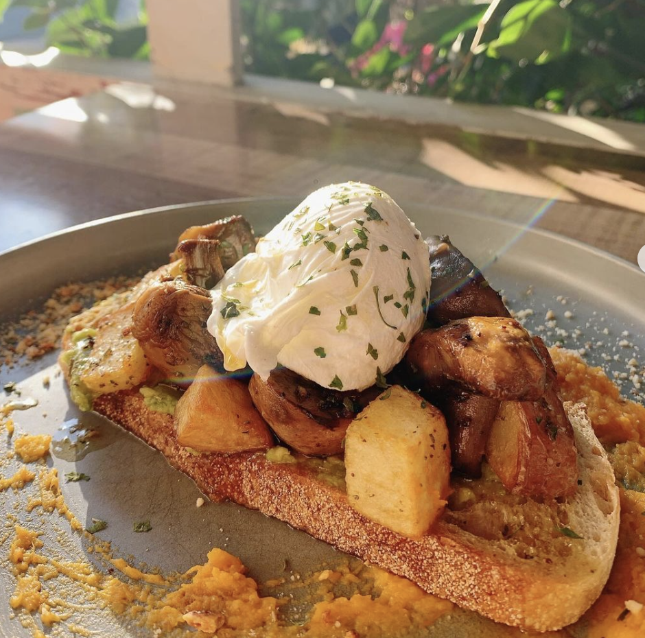 Greenwich English College 格林威治英語學院 澳洲 語言 課程