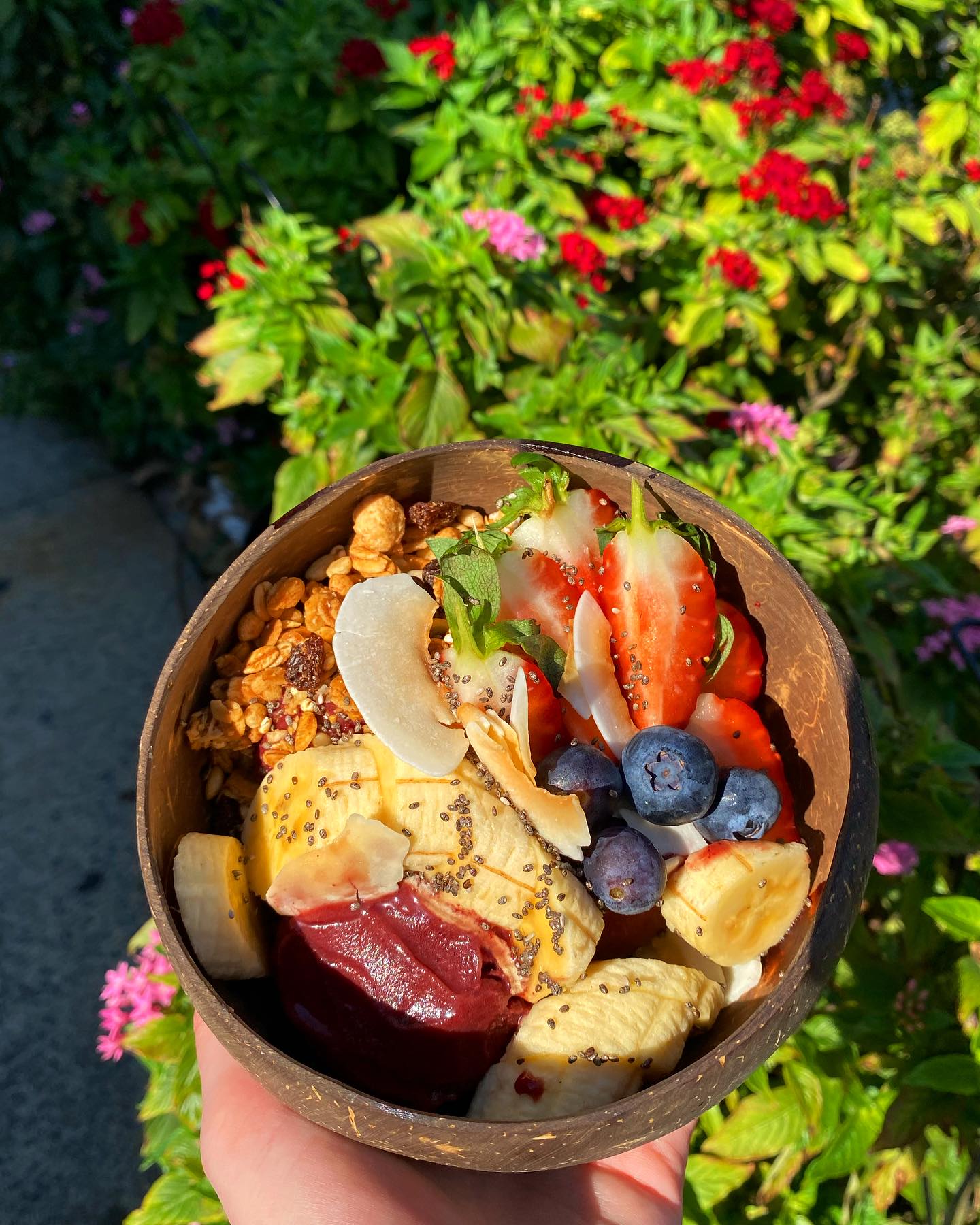 Greenwich English College 格林威治英語學院 澳洲 語言 課程