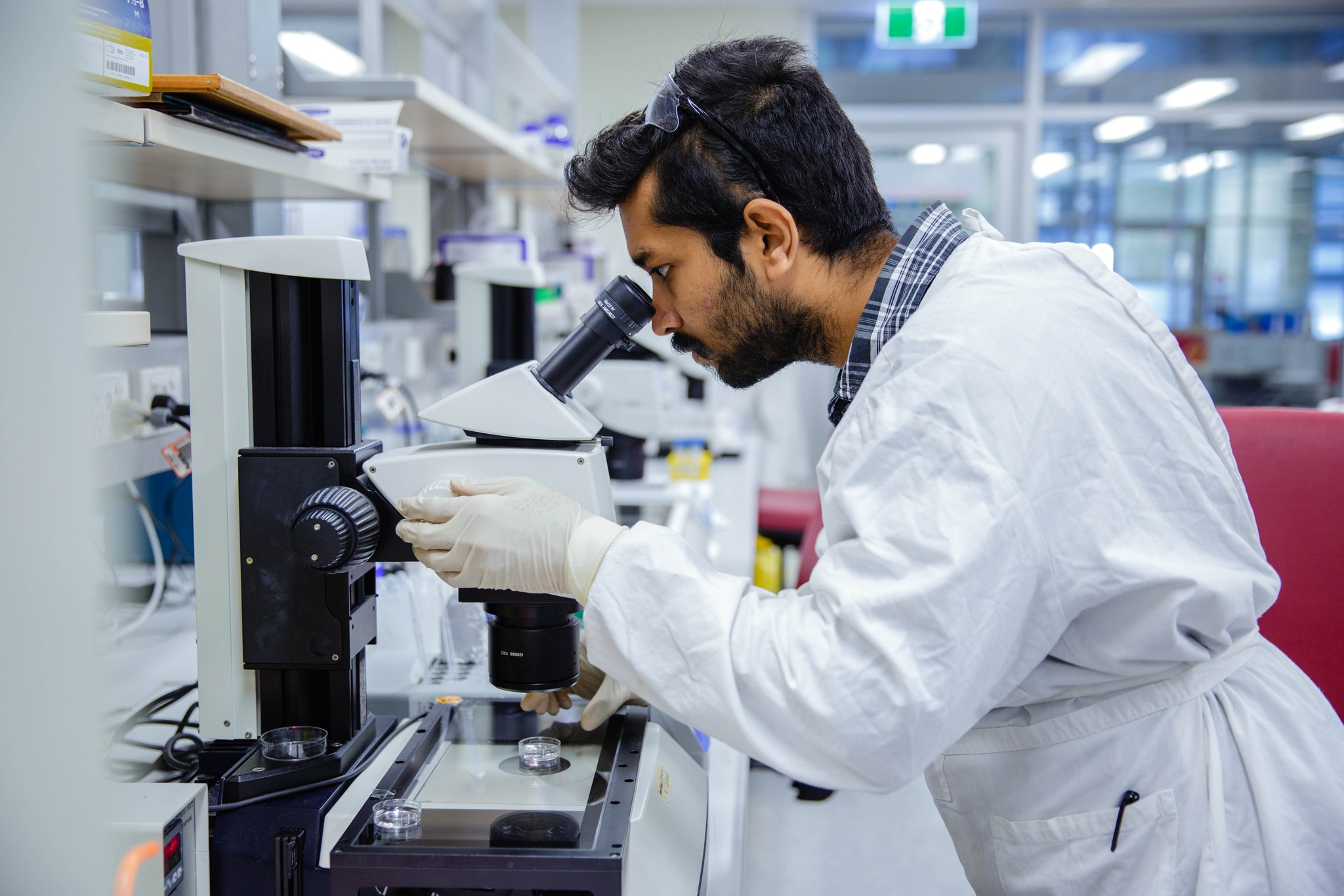 Greenwich English College 格林威治英語學院 澳洲 語言 課程